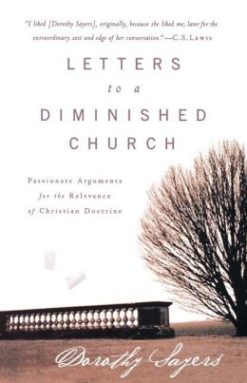 Letters to a Diminished Church: Passionate Arguments for the Relevance of Christian Doctrine-0