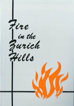 Fire in the Zurich Hills