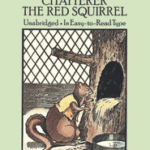 Adventures of Chatterer the Red Squirrel, The