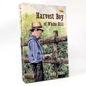 Harvest Boy of White Hill