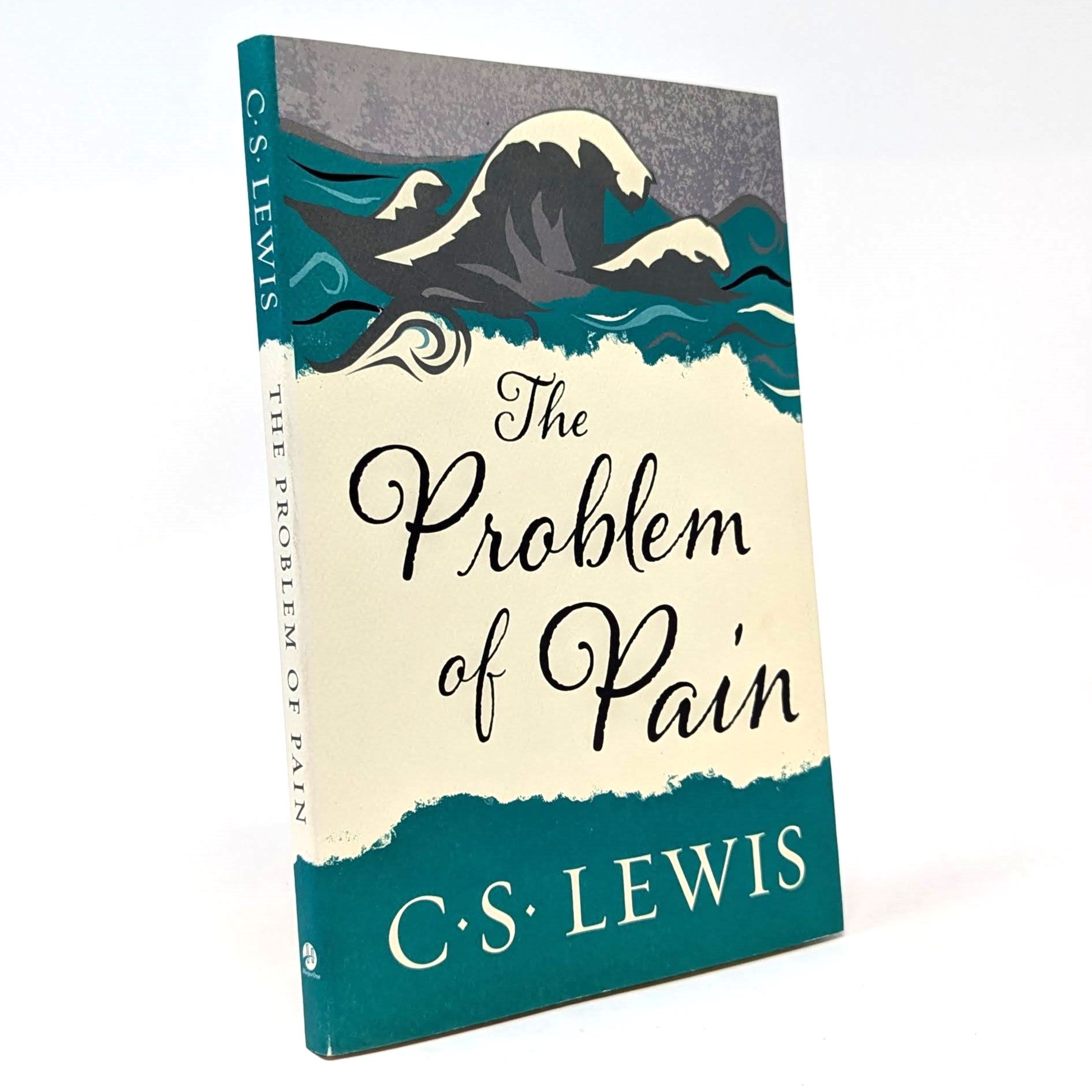 The Problem of Pain