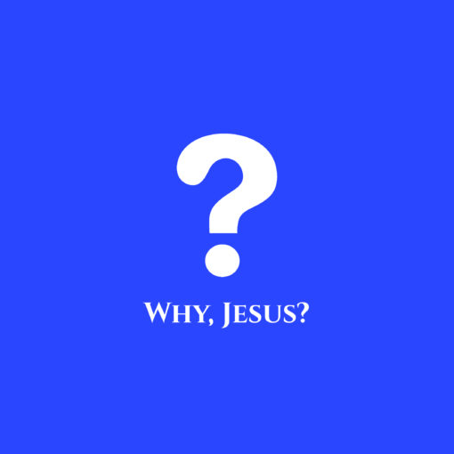 Why, Jesus?